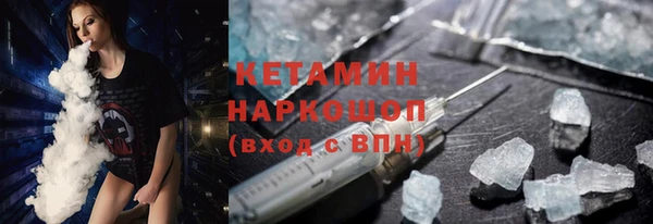 прущие грибы Рославль