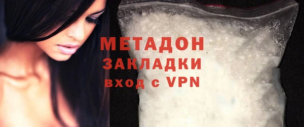 прущие грибы Рославль