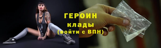 прущие грибы Рославль