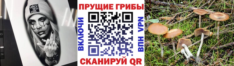 Купить где  Владикавказ  Галлюциногенные грибы ЛСД 